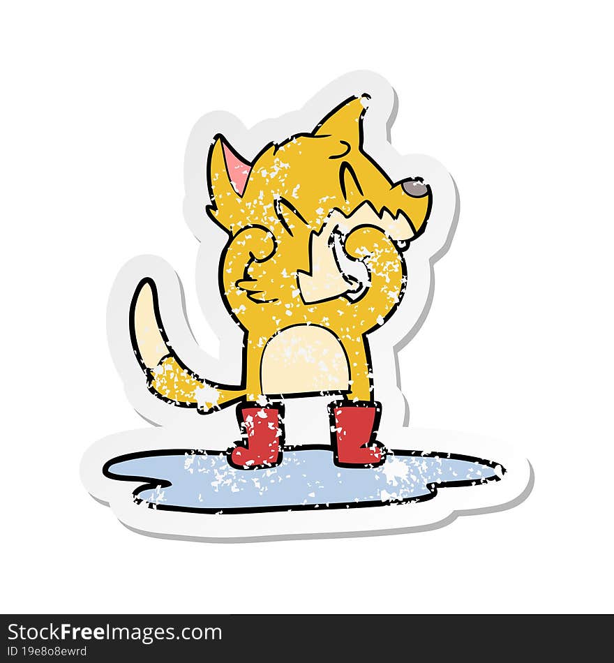 distressed sticker of a laughing fox in a puddle