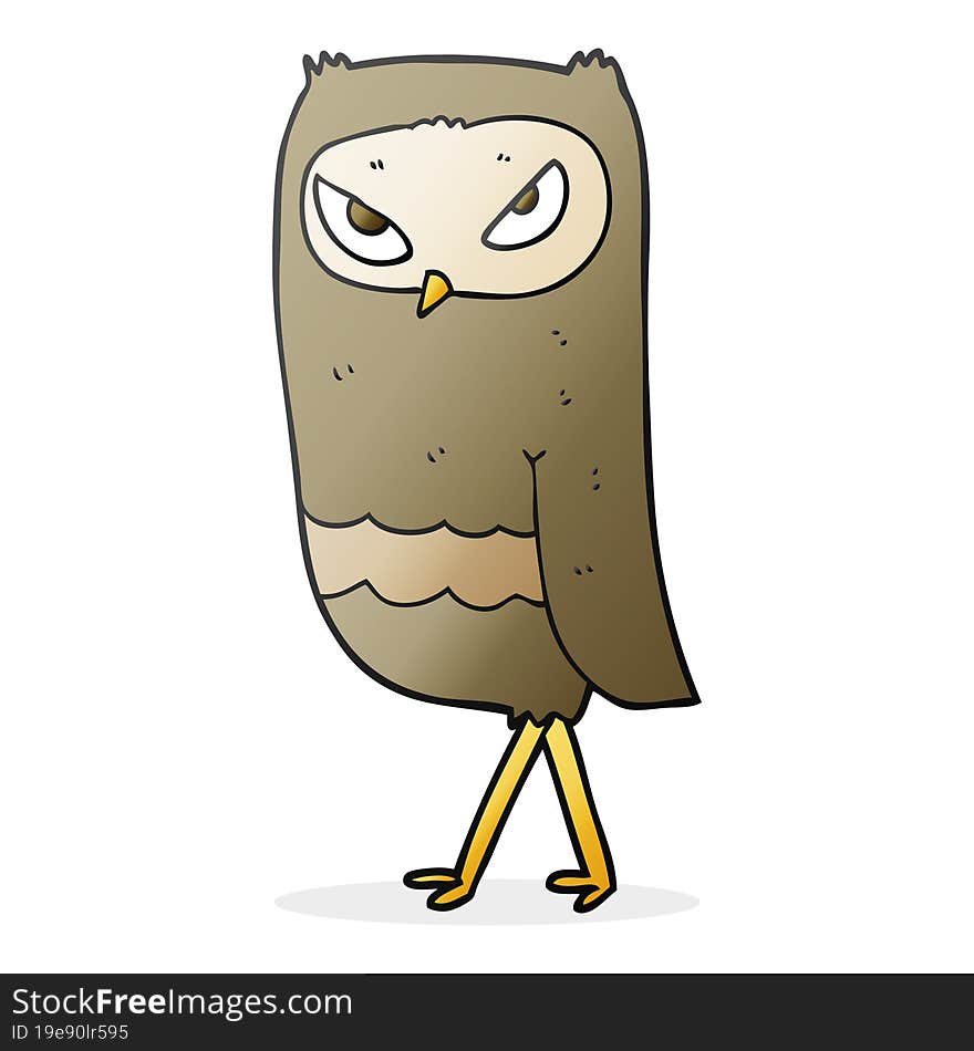 Cartoon Owl