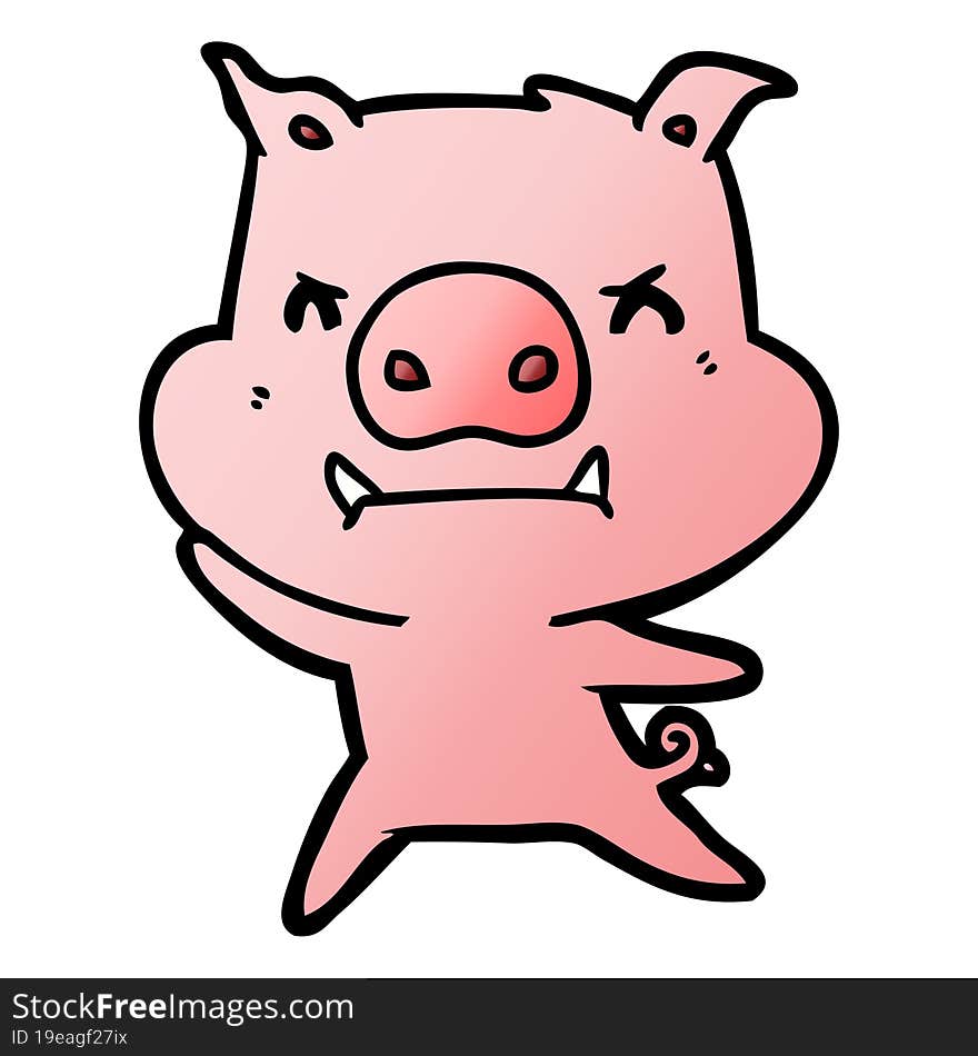 angry cartoon pig. angry cartoon pig