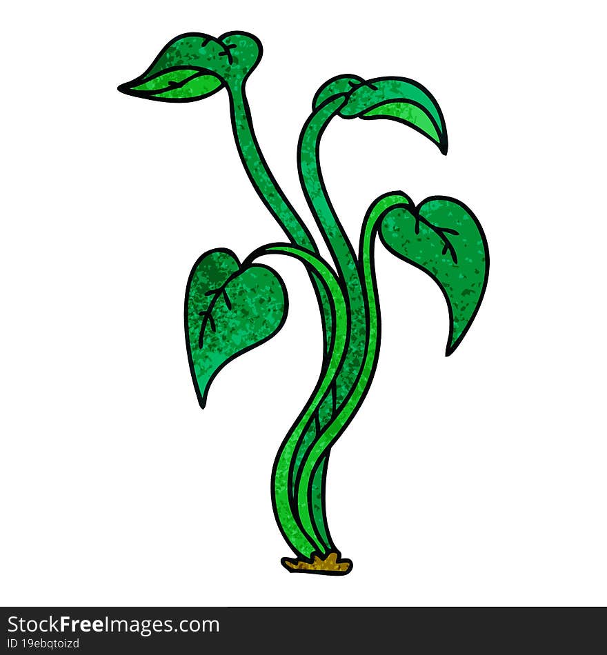 quirky hand drawn cartoon plant