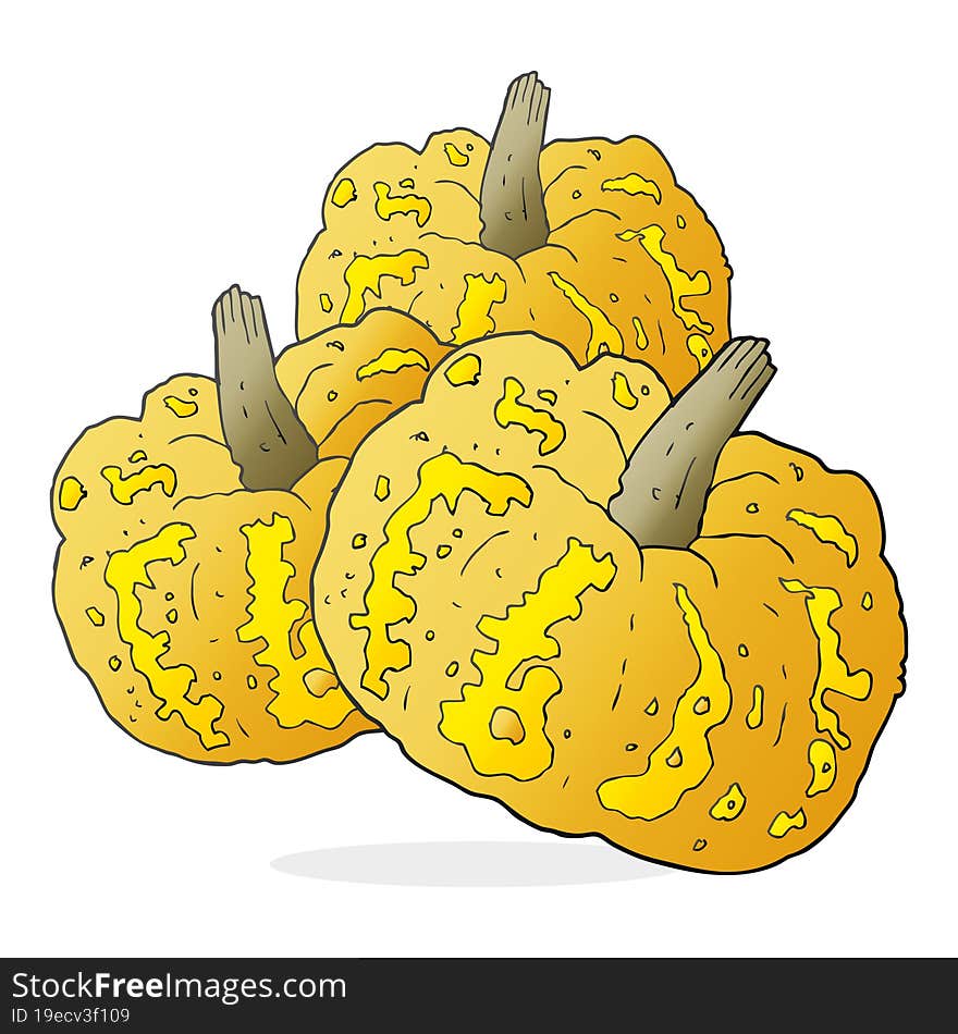 Cartoon Squash