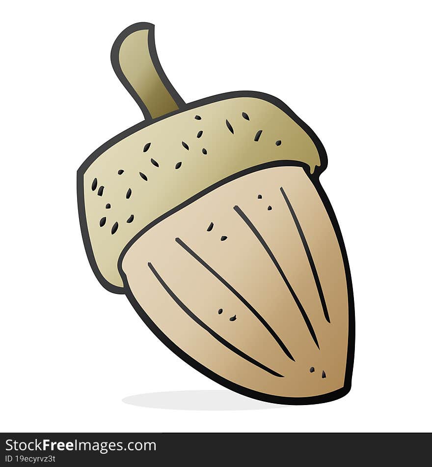 freehand drawn cartoon acorn