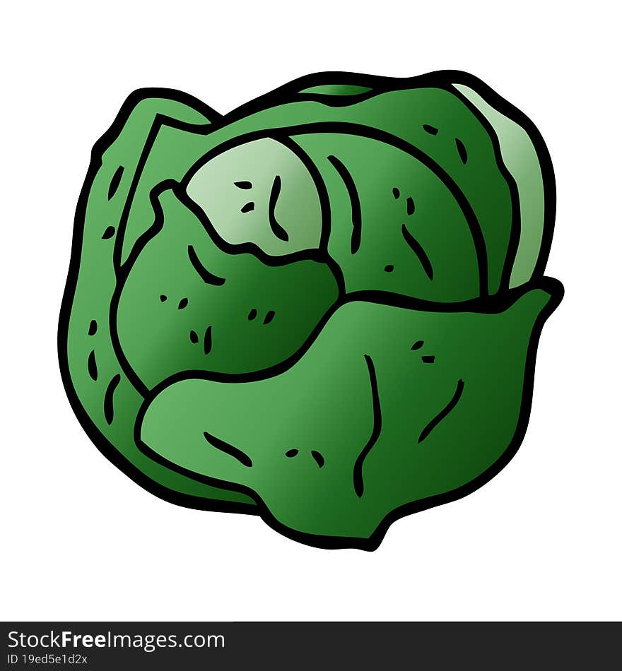 cartoon doodle cabbage