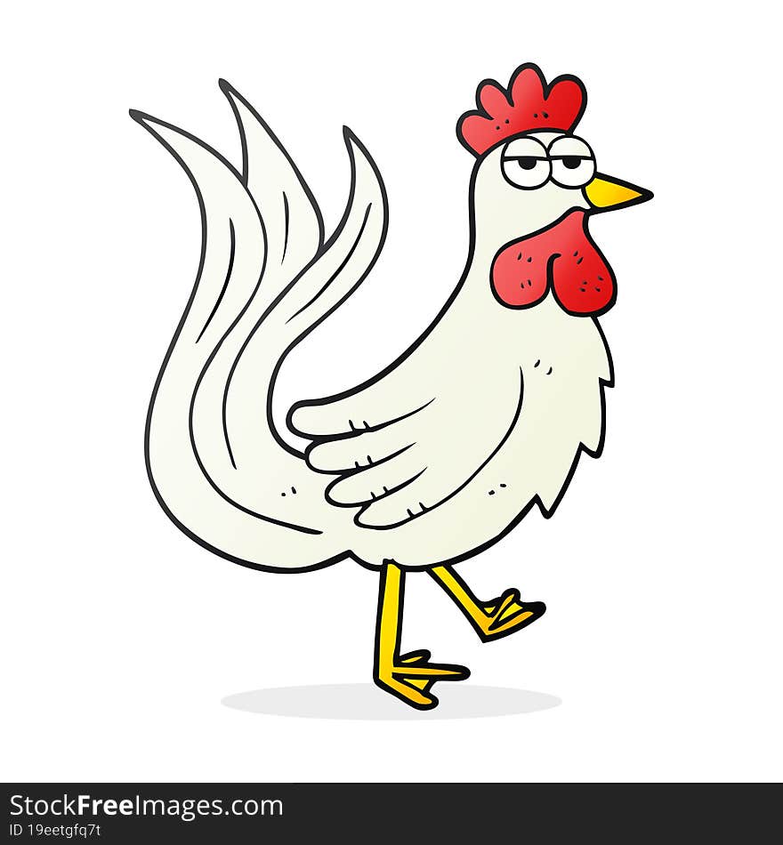 cartoon cock