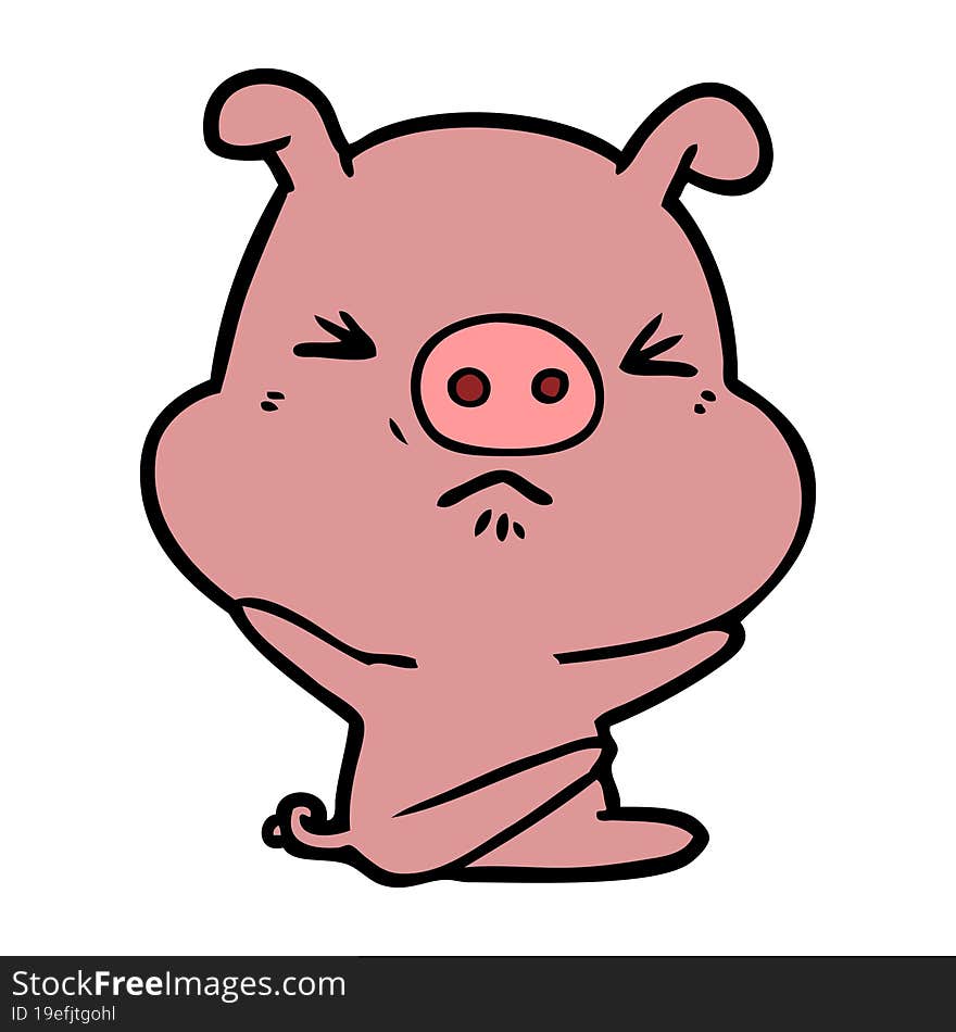 cartoon angry pig. cartoon angry pig