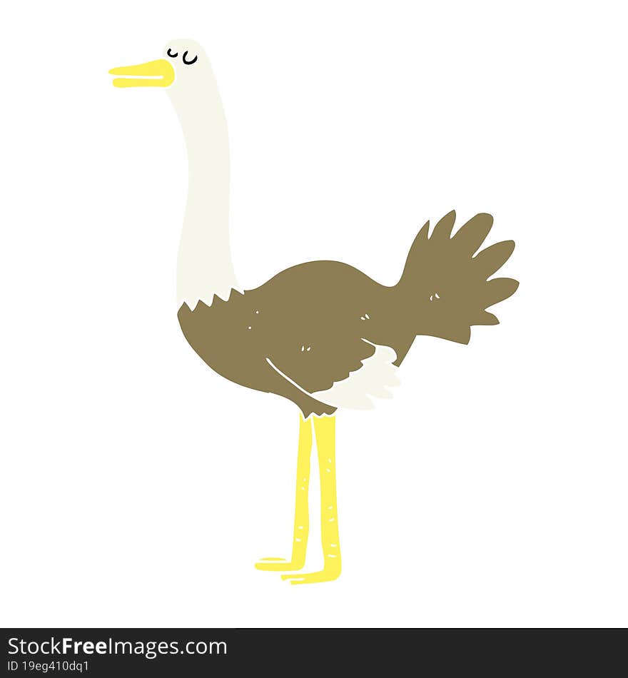 flat color illustration of ostrich. flat color illustration of ostrich