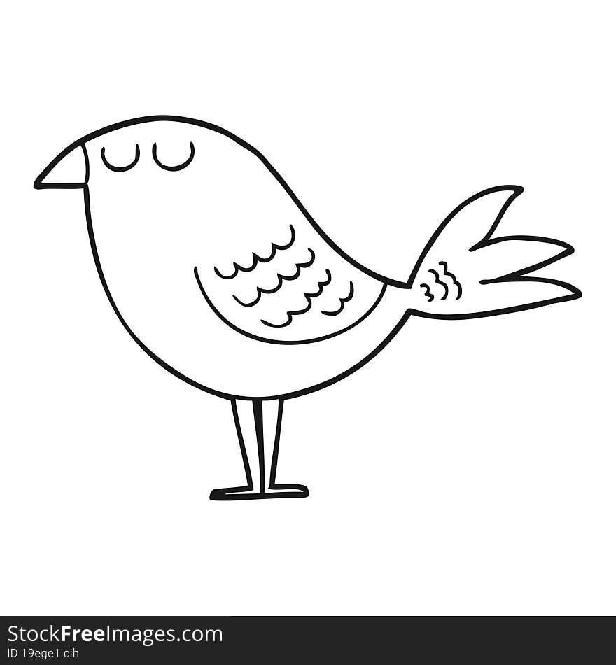 cartoon bird