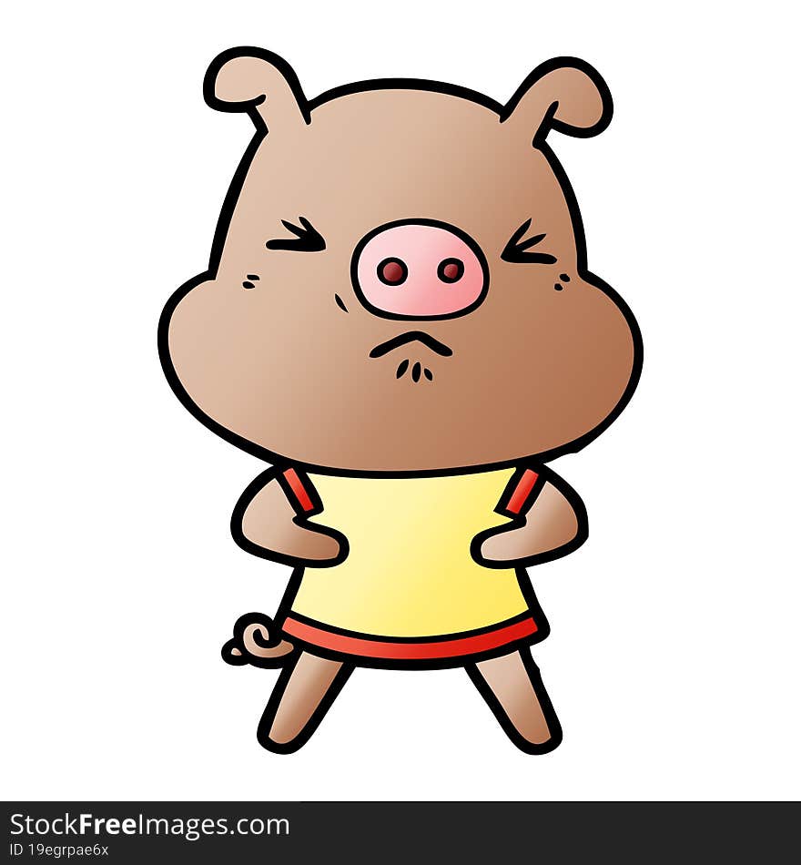 cartoon angry pig wearing tee shirt. cartoon angry pig wearing tee shirt