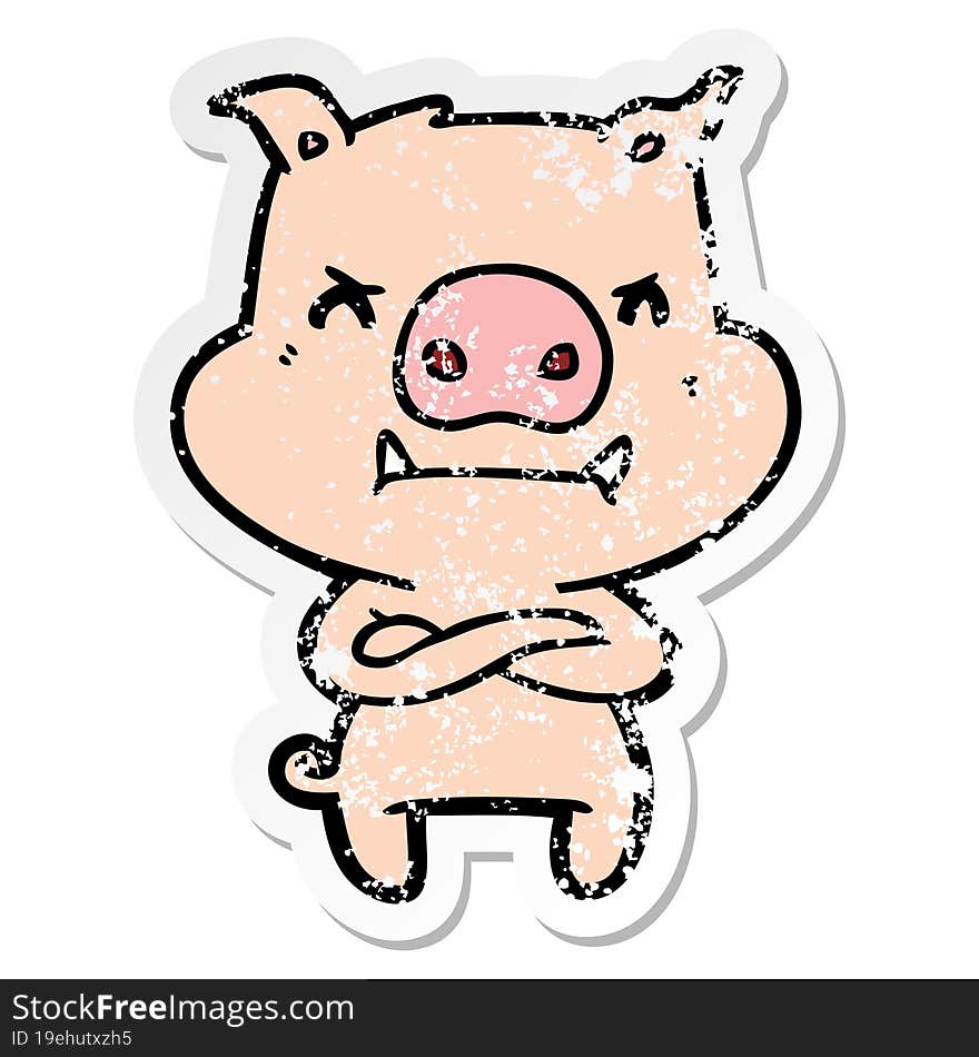 distressed sticker of a angry cartoon pig