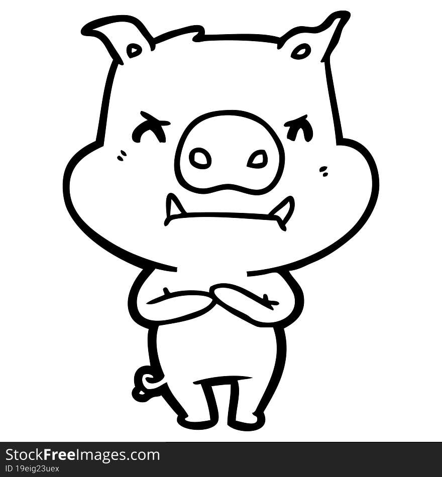 angry cartoon pig. angry cartoon pig