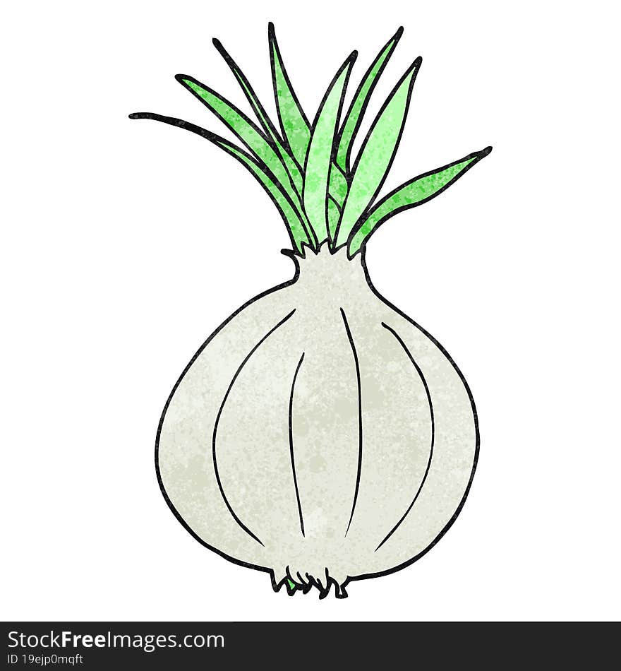 textured cartoon onion