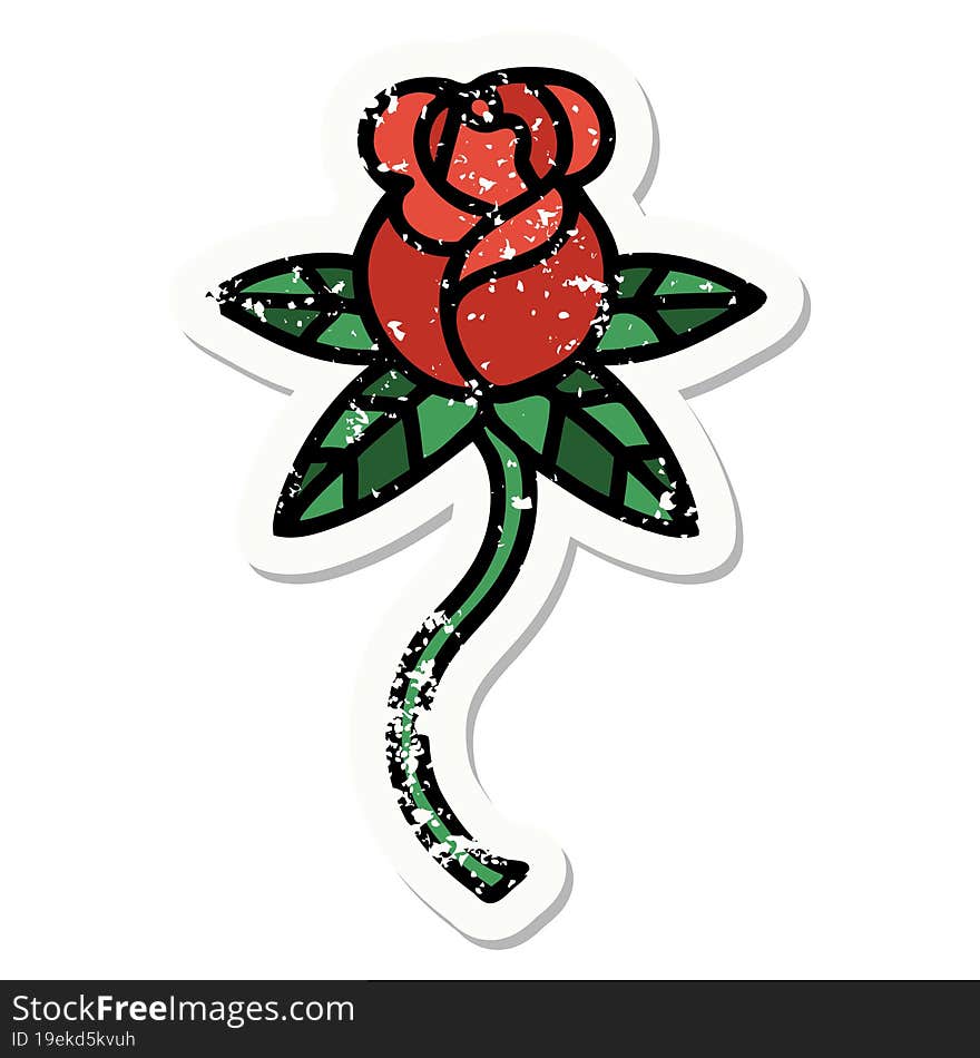 distressed sticker tattoo in traditional style of rose. distressed sticker tattoo in traditional style of rose