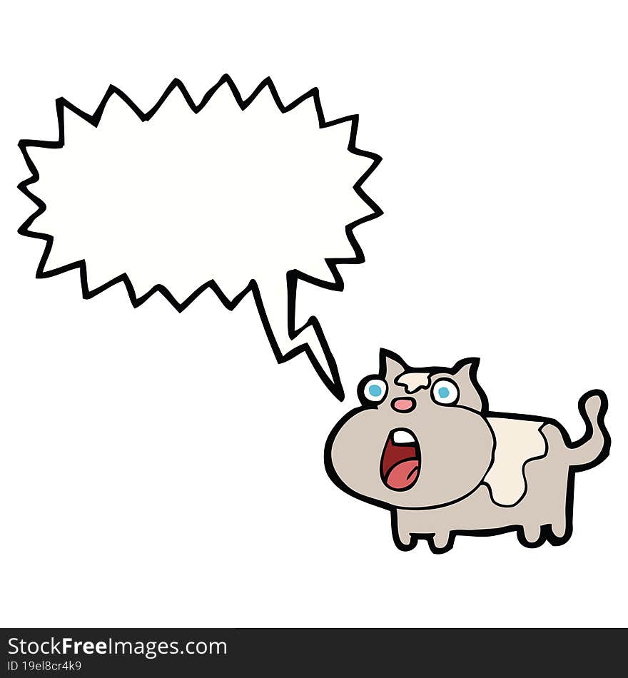 cartoon shocked cat with speech bubble