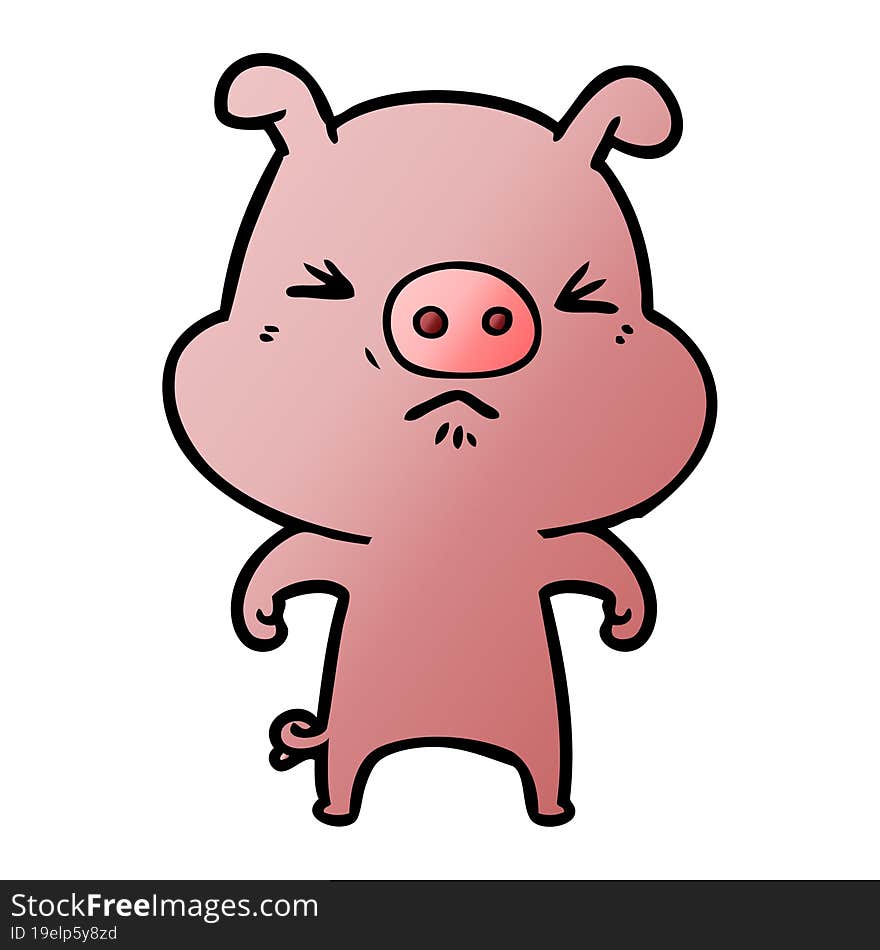 cartoon angry pig. cartoon angry pig