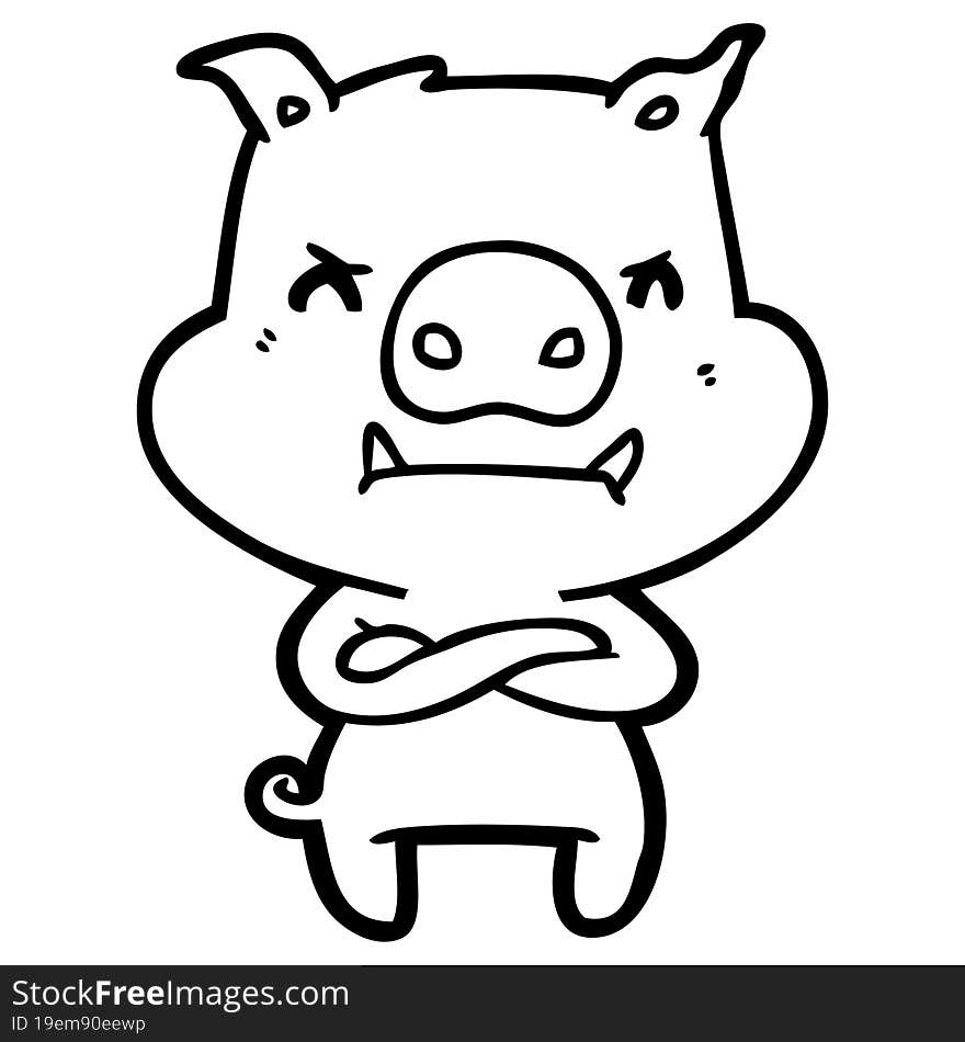 angry cartoon pig. angry cartoon pig