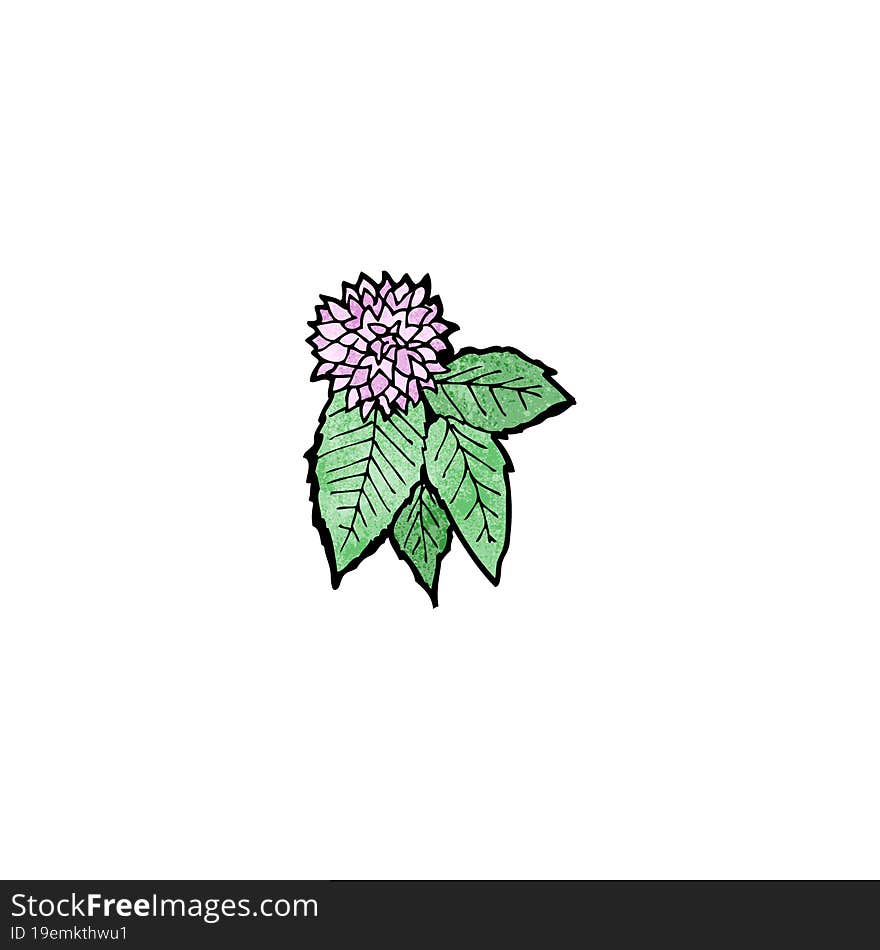 flower and leaf illustration