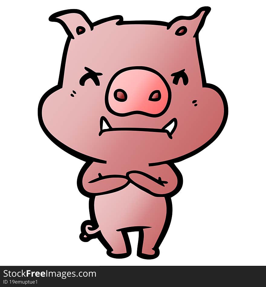 angry cartoon pig. angry cartoon pig