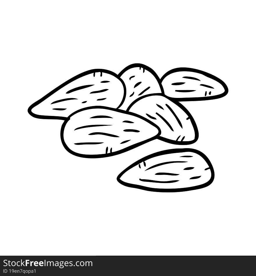 line drawing of a almonds. line drawing of a almonds