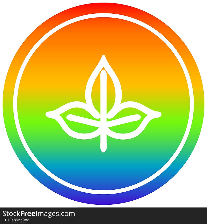 natural leaf circular icon with rainbow gradient finish. natural leaf circular icon with rainbow gradient finish