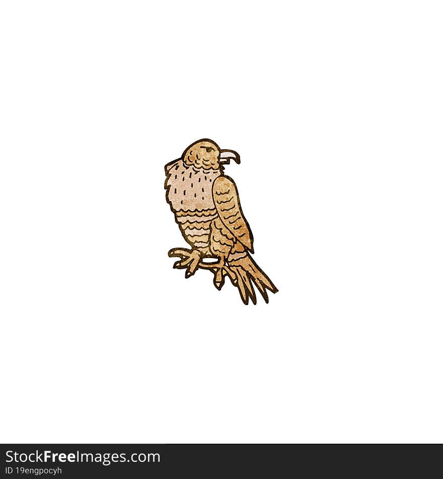 hawk illustration