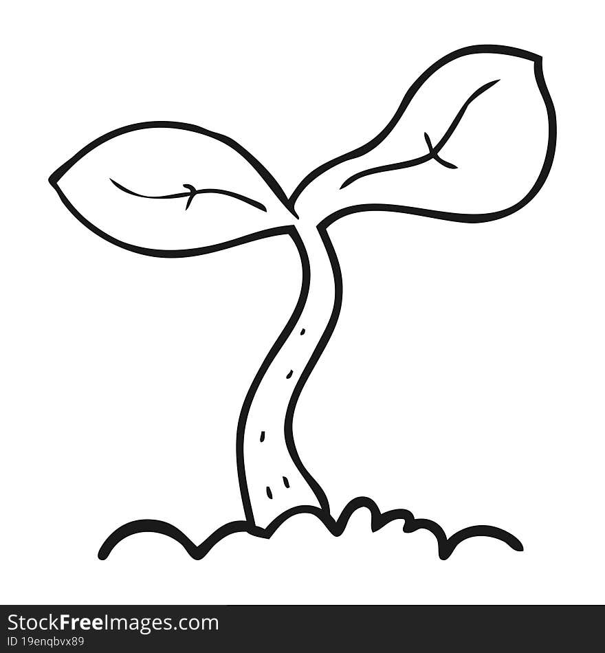 black and white cartoon seedling growing