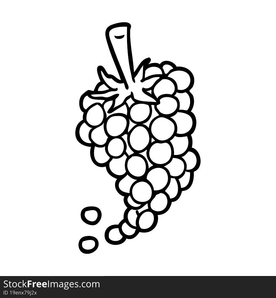 line drawing of a bunch of grapes. line drawing of a bunch of grapes