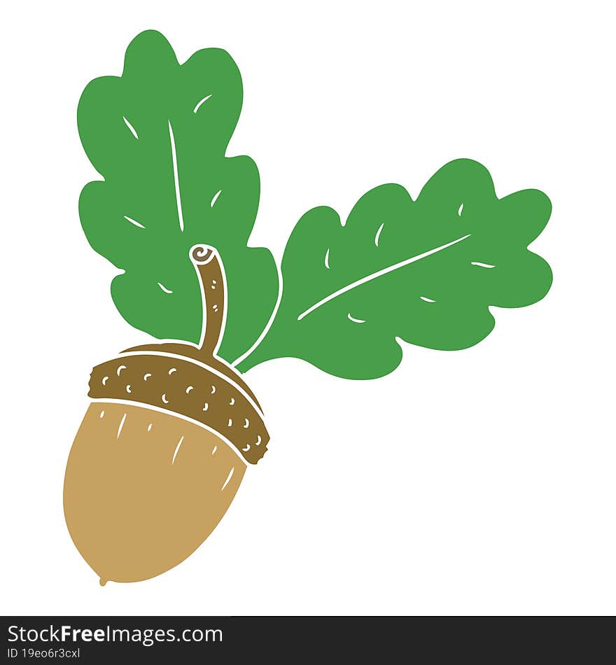 Flat Color Style Cartoon Acorn