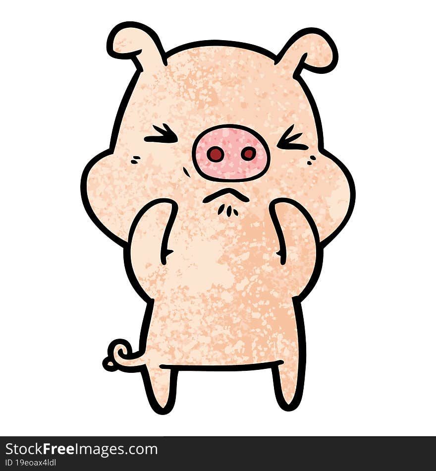 cartoon angry pig. cartoon angry pig