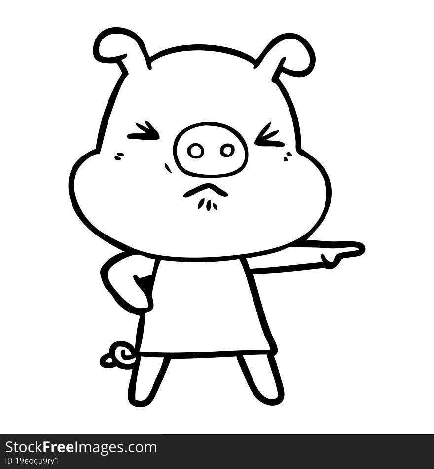 cartoon angry pig. cartoon angry pig