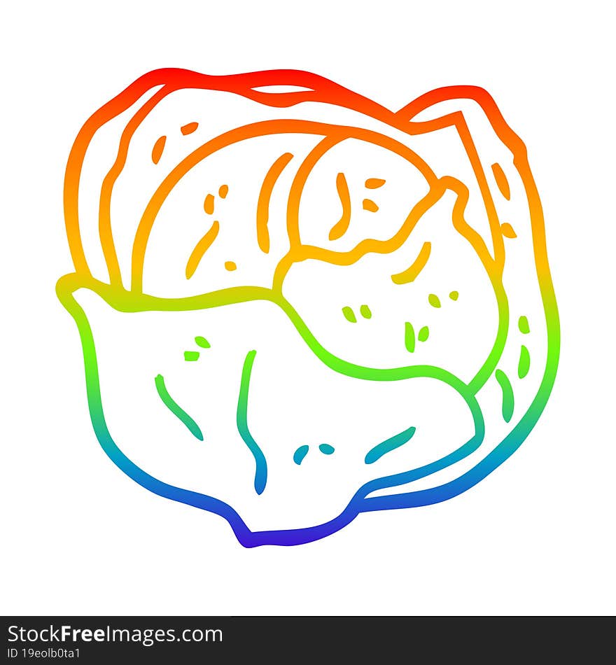 rainbow gradient line drawing cartoon organic lettuce