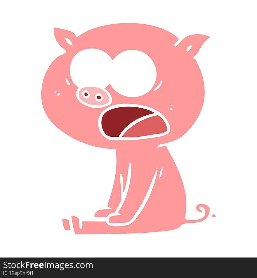 flat color style cartoon sitting pig shouting