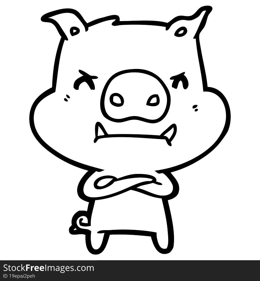 angry cartoon pig. angry cartoon pig