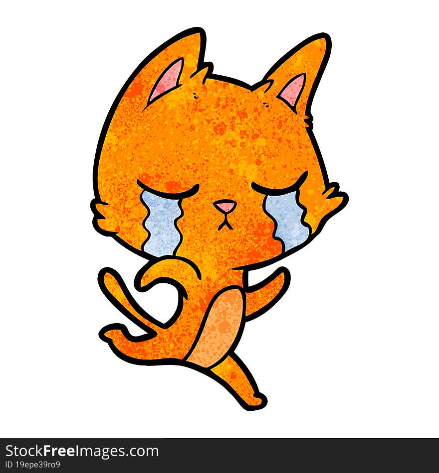 crying cartoon cat. crying cartoon cat