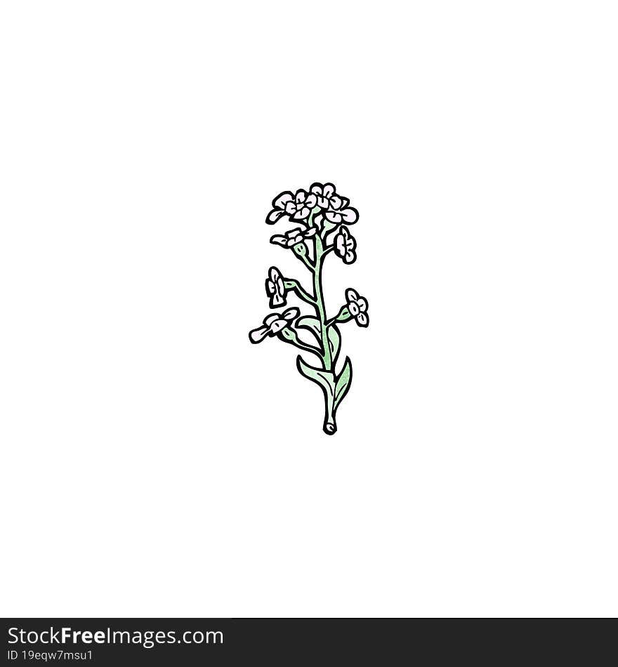 wildflowers illustration