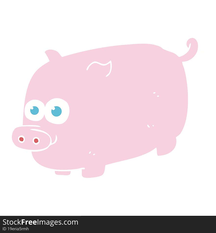 flat color illustration of pig. flat color illustration of pig