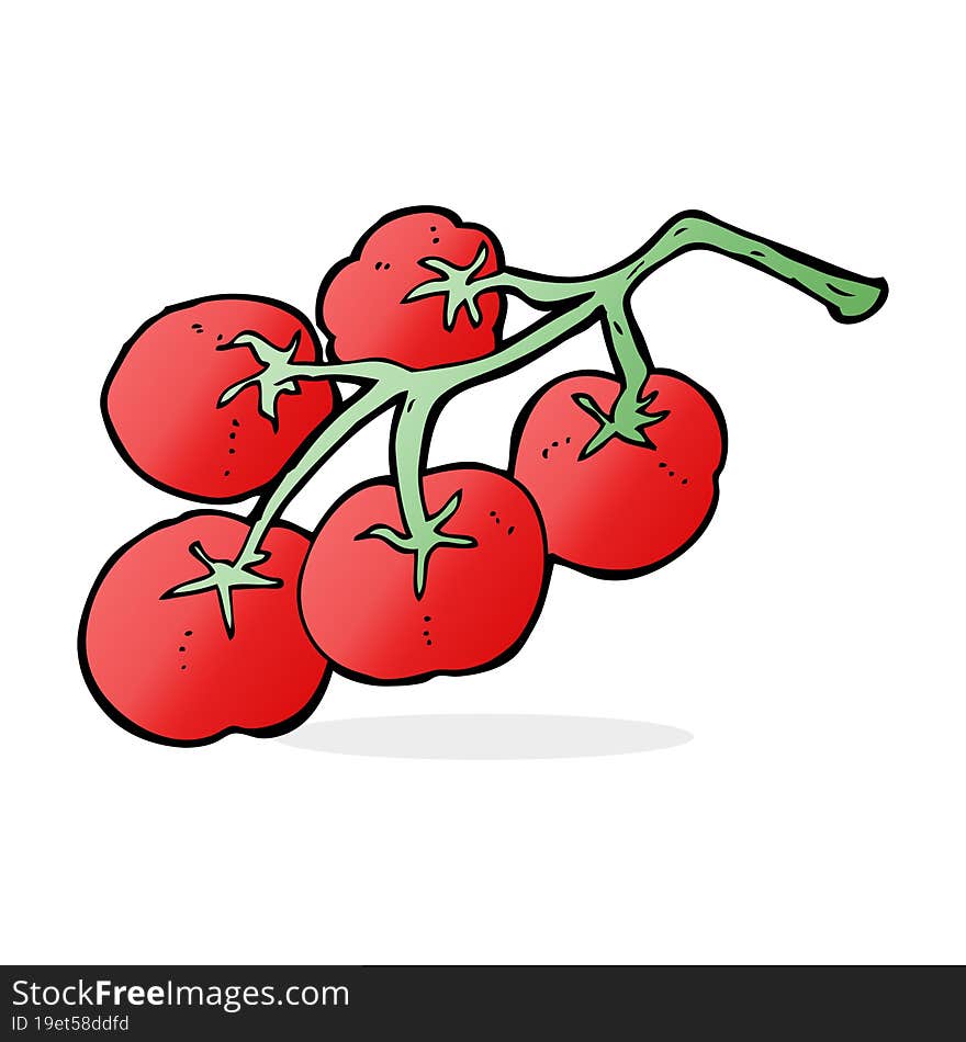 Tomatoes On Vine Illustration