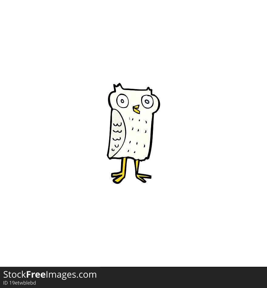 Cartoon Little Owl