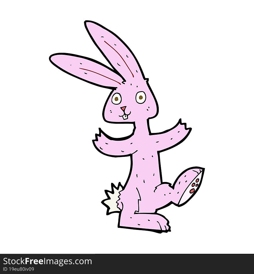 cartoon rabbit