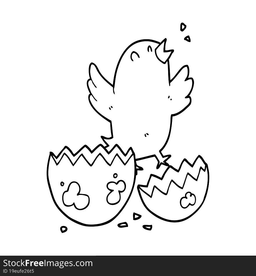 Cartoon Bird Hatching From Egg