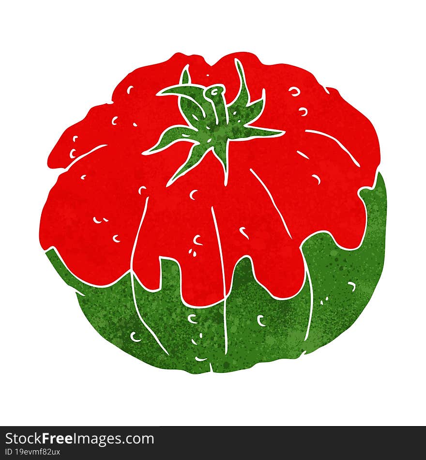 Cartoon Tomato