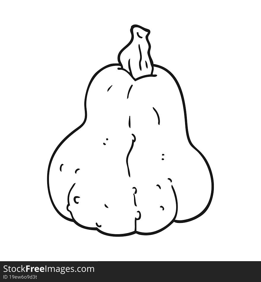 Cartoon Squash