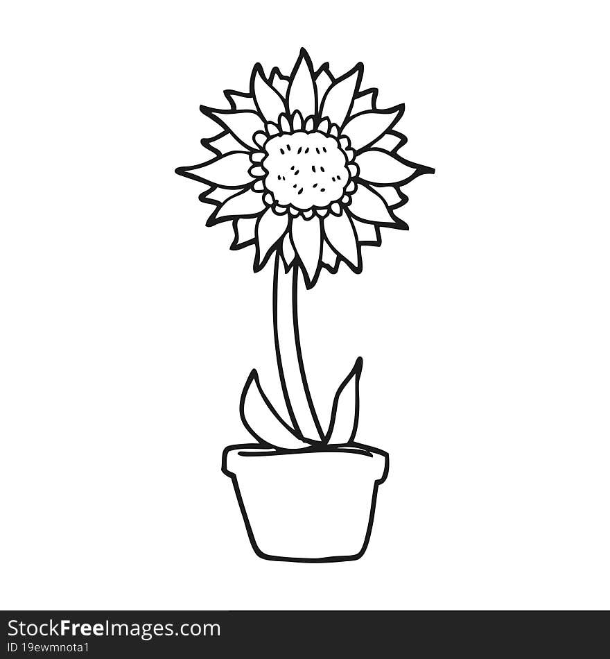 freehand drawn black and white cartoon sunflower