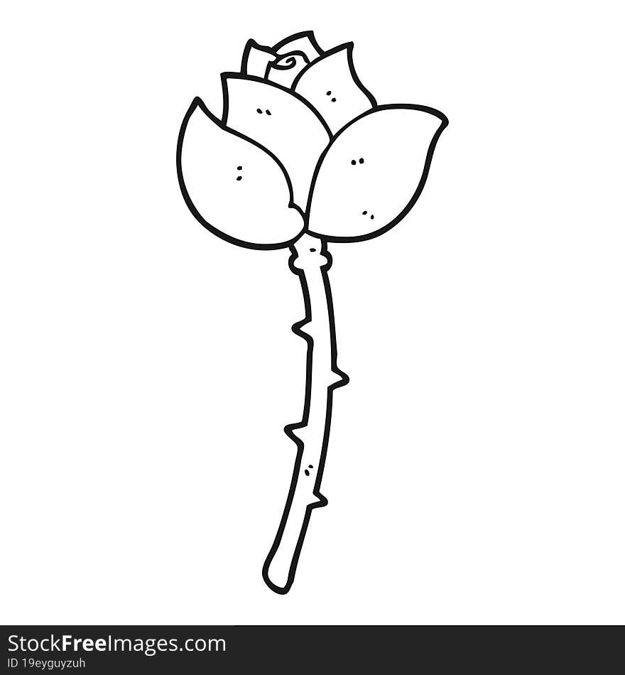 Black And White Cartoon Rose