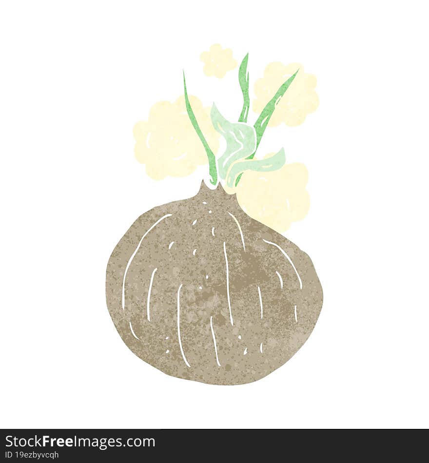 cartoon onion