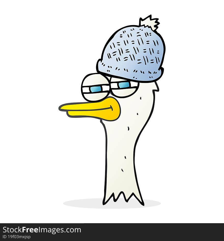 Cartoon Bird Wearing Hat