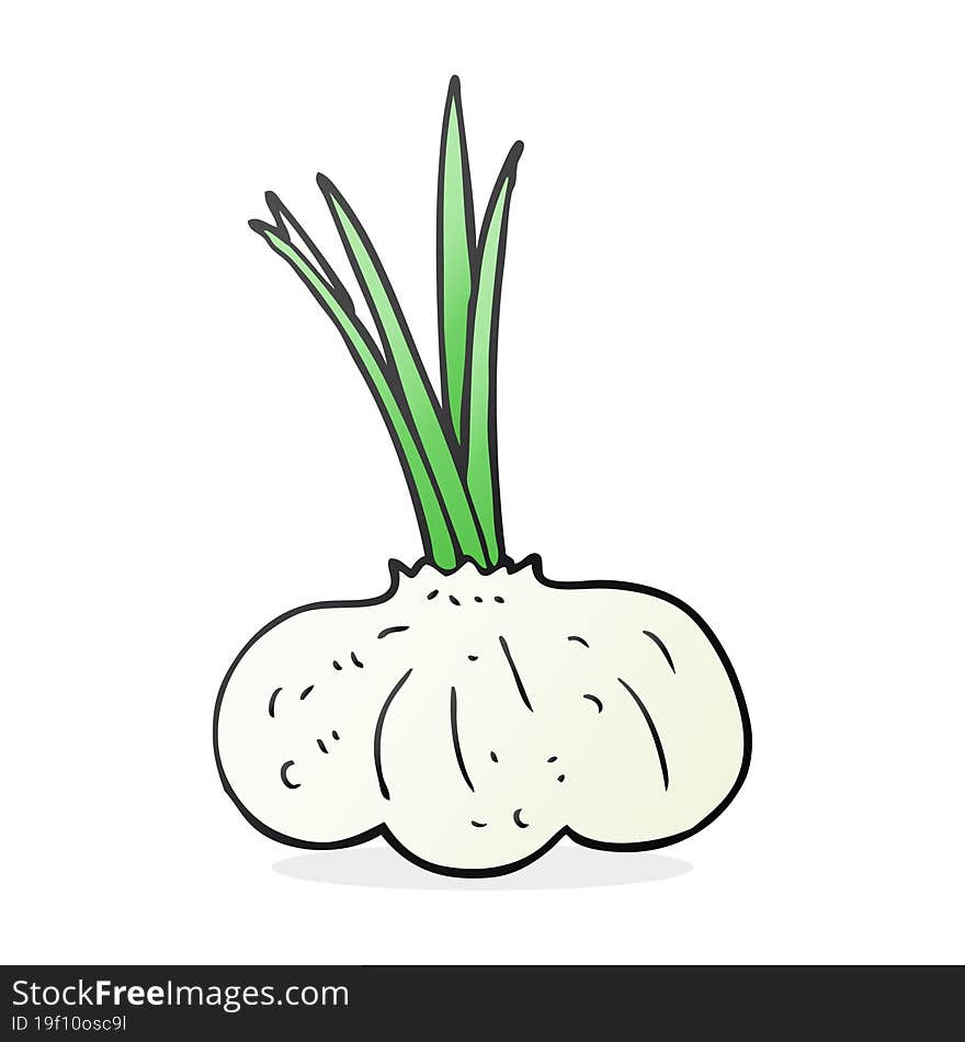 freehand drawn cartoon garlic bulb