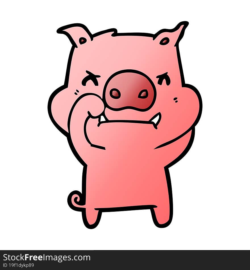 angry cartoon pig. angry cartoon pig