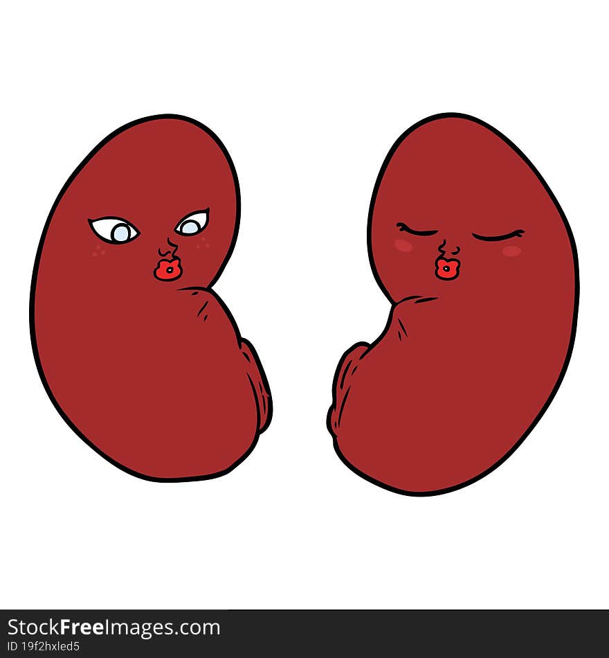 cartoon kidneys. cartoon kidneys