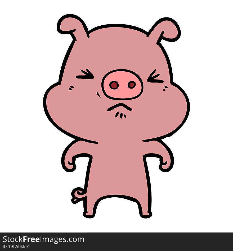 cartoon angry pig. cartoon angry pig