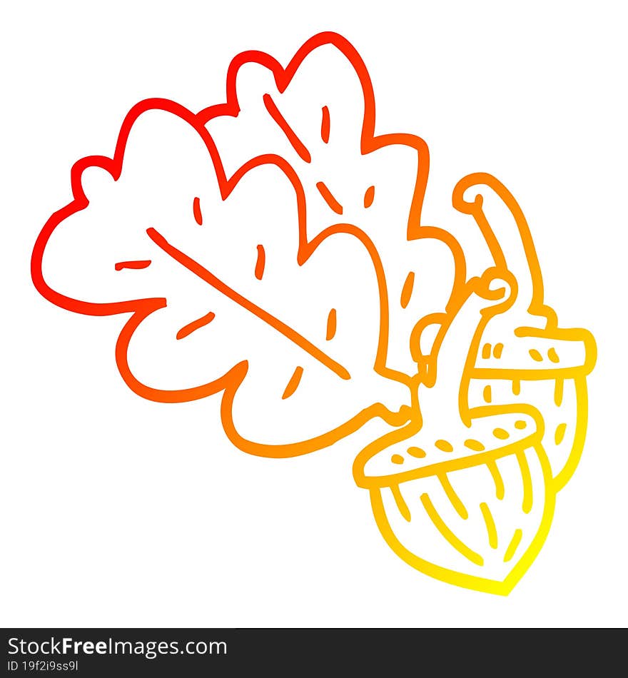 warm gradient line drawing cartoon acorn